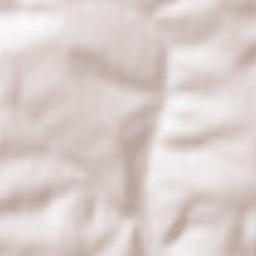 Obshtina Byala Terrain Map