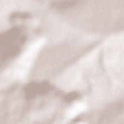 Obshtina Loznitsa Terrain Map