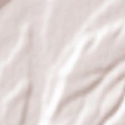 Psygansu Terrain Map