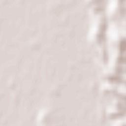 Rabastens-de-Bigorre Terrain Map