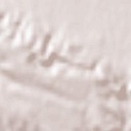 Châteauneuf-les-Martigues Terrain Map