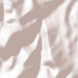 Poggio San Vicino Terrain Map