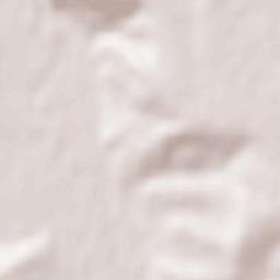 Krivodol Terrain Map