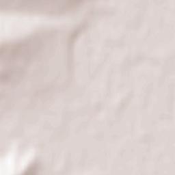 Polski Trambesh Terrain Map