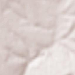 Loznitsa Terrain Map