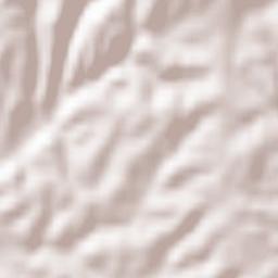 Castelnuovo Berardenga Terrain Map