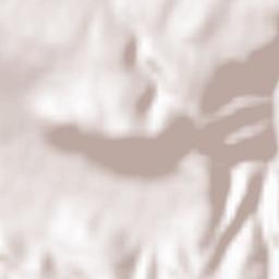 Nerežišća Terrain Map