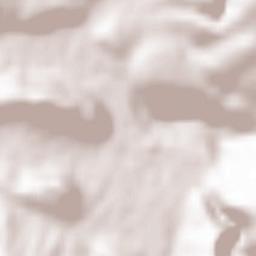 Pljevlja Terrain Map