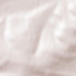 Obshtina Polski Trambesh Terrain Map