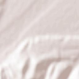 Leskenskiy rayon Terrain Map