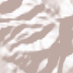 Gémenos Terrain Map