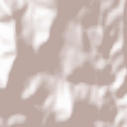 La Garde-Freinet Terrain Map