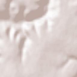 Obshtina Aksakovo Terrain Map