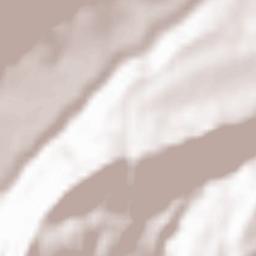 Kashkhatau Terrain Map