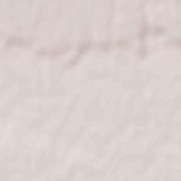 Troitskaya Terrain Map