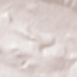 Cherven Bryag Terrain Map