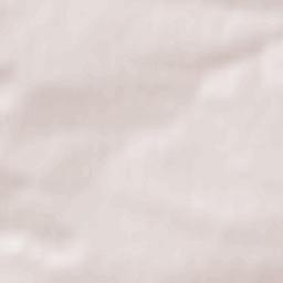 Obshtina Pavlikeni Terrain Map