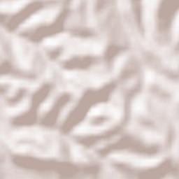 Lasseube Terrain Map