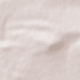 Pavlikeni Terrain Map