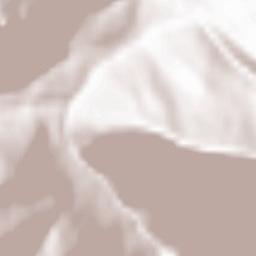 El’brus Terrain Map