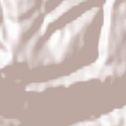 Cherekskiy Rayon Terrain Map