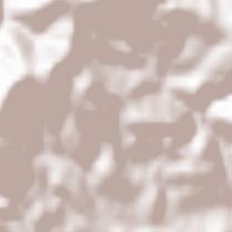 Zizurkil Terrain Map