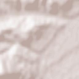 Martres-Tolosane Terrain Map