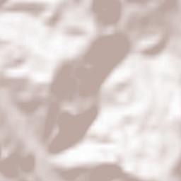 Sokolovica Terrain Map