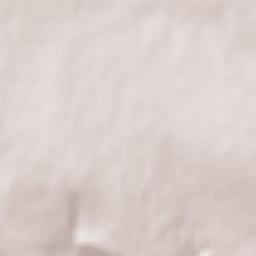 Obshtina Beloslav Terrain Map