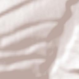 Ishkhoy-Yurt Terrain Map