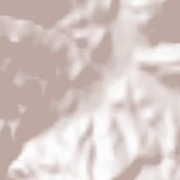 Saint-Étienne-de-Baïgorry Terrain Map