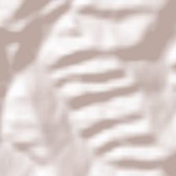 Torre San Patrizio Terrain Map