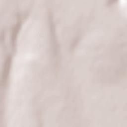 Obshtina Provadia Terrain Map