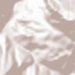 Posada de Valdeón Terrain Map