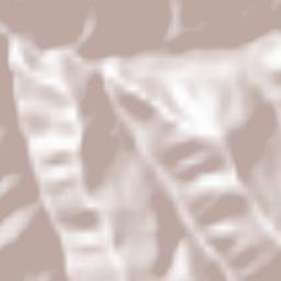 Vega de Pas Terrain Map