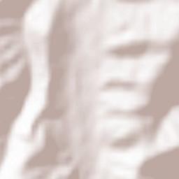 Ripe San Ginesio Terrain Map