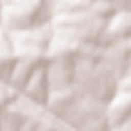 Antonovo Terrain Map