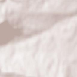 Gorna Oryahovitsa Terrain Map