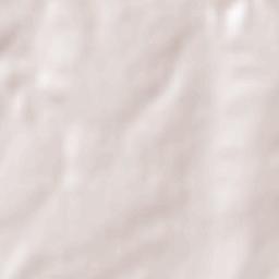 Lyaskovets Terrain Map