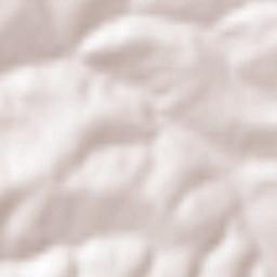 Obshtina Antonovo Terrain Map