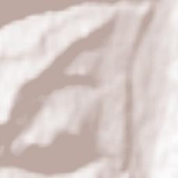 Galashki Terrain Map