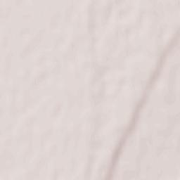 Staryye Atagi Terrain Map