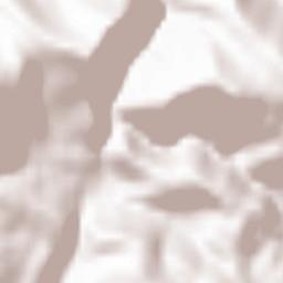 Pesquera Terrain Map