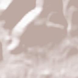 Espinosa de los Monteros Terrain Map