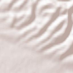 Prigorodnyy Rayon Terrain Map