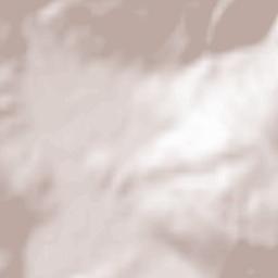 Massa Marittima Terrain Map