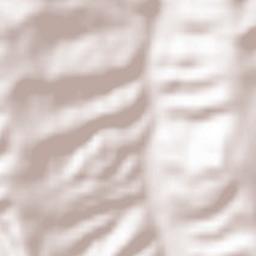 Monteleone di Fermo Terrain Map