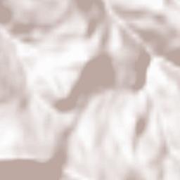 Lakatnik Terrain Map