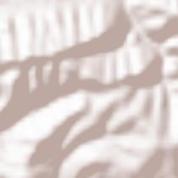 Obshtina Zlataritsa Terrain Map