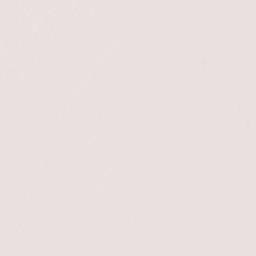 Camlachie Terrain Map